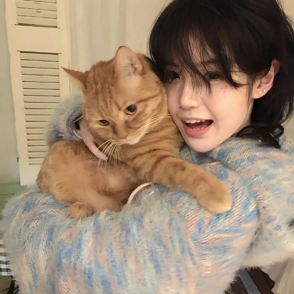 爸别创业了我炒股养你啊